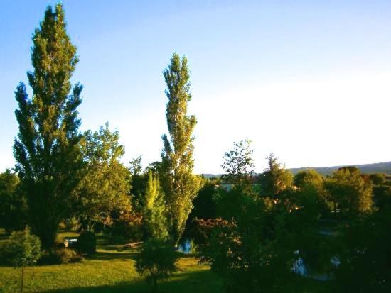 Mas Le Pont Des Aubes Bed and Breakfast LʼIsle-sur-la-Sorgue Buitenkant foto