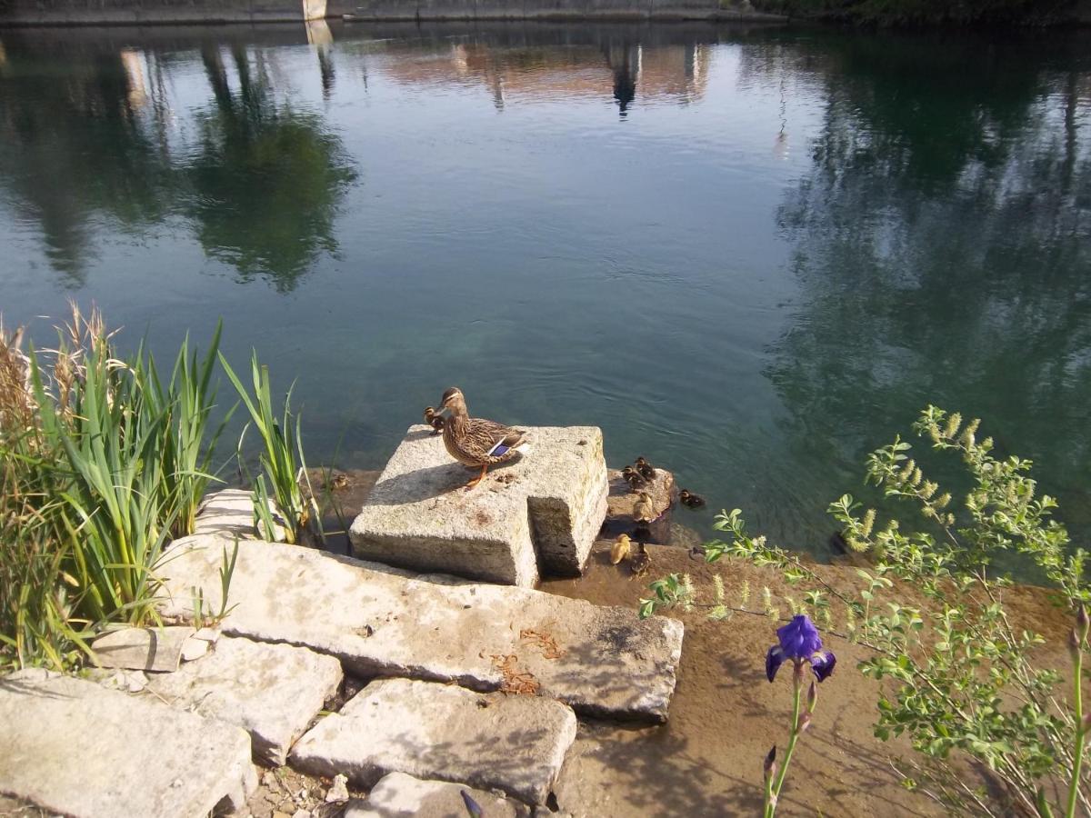 Mas Le Pont Des Aubes Bed and Breakfast LʼIsle-sur-la-Sorgue Buitenkant foto
